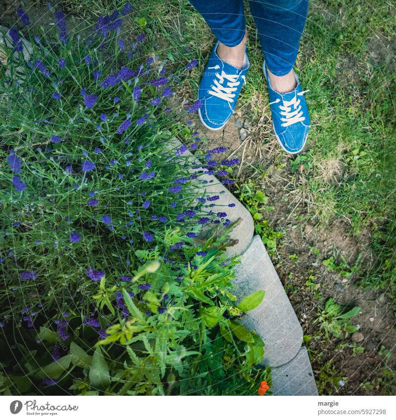 Blaues Blumenbeet mit blauen Schuhen Beet Pflanze Garten Blüte Außenaufnahme Sportschuhe Frauenfüße