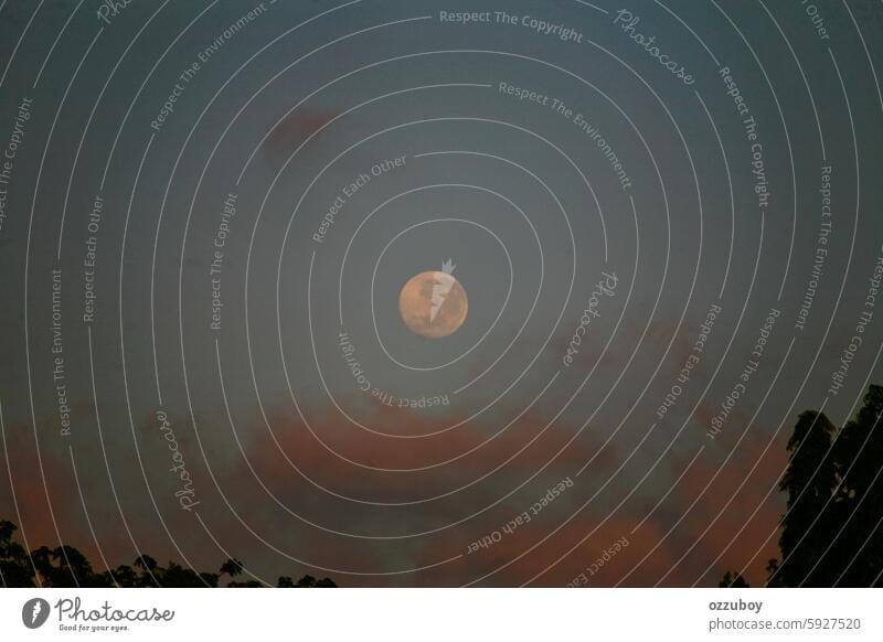 Vollmond und Wolken in der Abenddämmerung Wolkenlandschaft Mond Natur Himmel ätherisch Mondschein keine Menschen Dämmerung Nacht dunkel Sonnenuntergang Umwelt