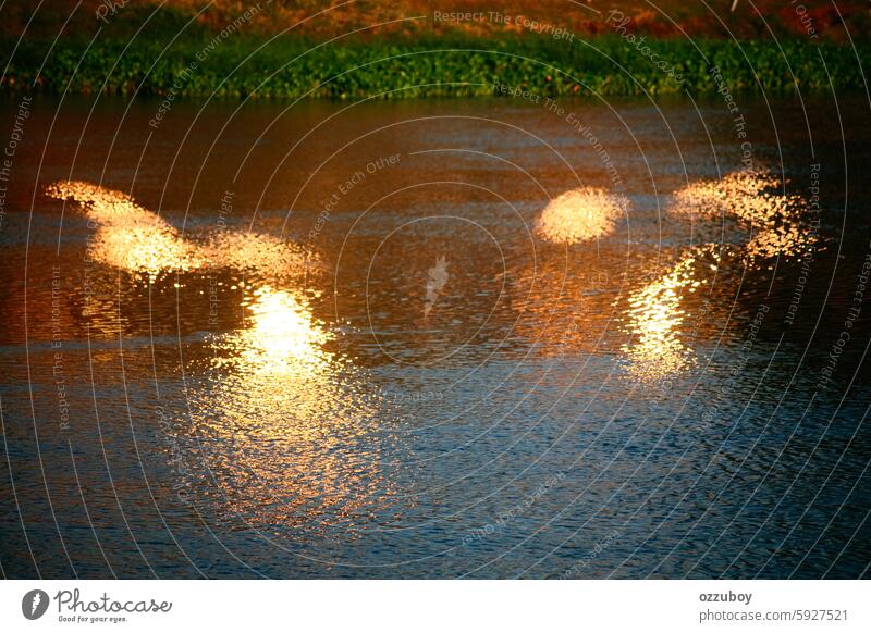 Reflexion des Lichts im Fluss Wasser liquide abstrakt kräuselte Natur horizontal glänzend winken Sonnenlicht Hintergrund keine Menschen Reflexion & Spiegelung