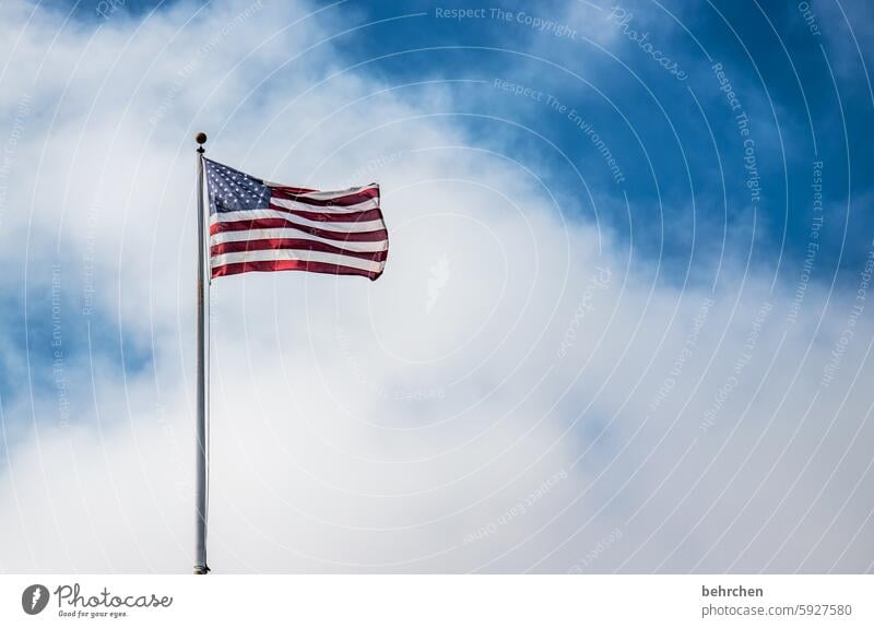 ein fähnchen im wind windig wehen Fahne nationalbewusstsein Nationalität Nationalflagge Flagge Himmel Fernweh Tourismus Ferien & Urlaub & Reisen USA Amerika