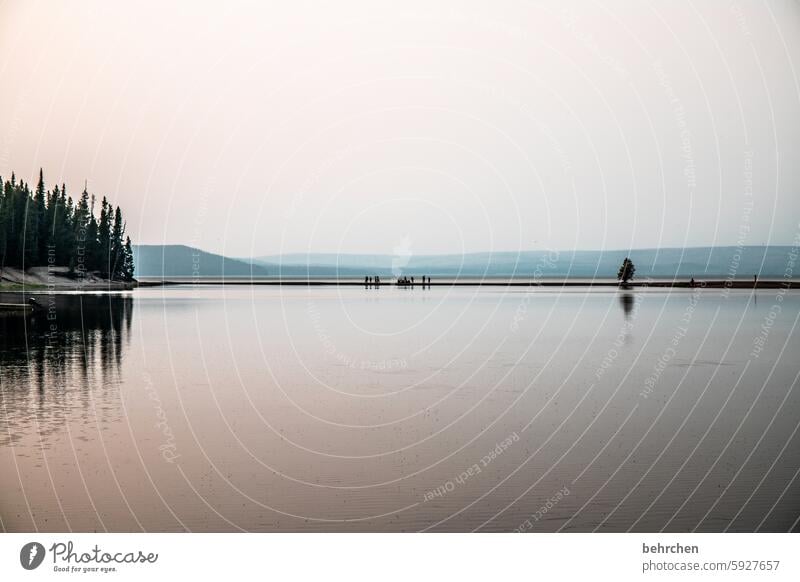 stille Wyoming Wasser See Baum Yellowstone lake Yellowstone Nationalpark Sonnenaufgang Sonnenlicht Dämmerung Fernweh Sehnsucht träumen USA Amerika Himmel