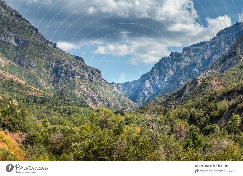 V-förmiges Tal in den trockenen Bergen von Utah Landschaft V-Tal blau Schlucht Natur natürlich Berge u. Gebirge schön malerisch reisen wüst im Freien wandern