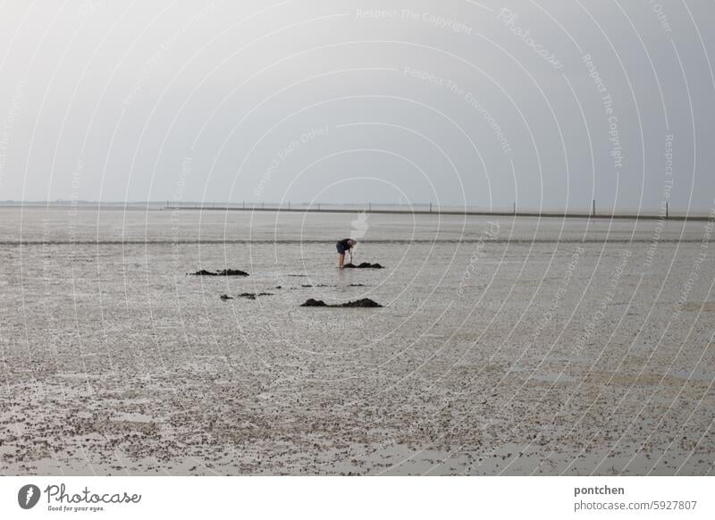 ein mensch bäckt sich bei ebbe im watt. nordsee bücken expedition wattwanderung person urlaub Wattenmeer Gezeiten Nordseeküste Ferien & Urlaub & Reisen