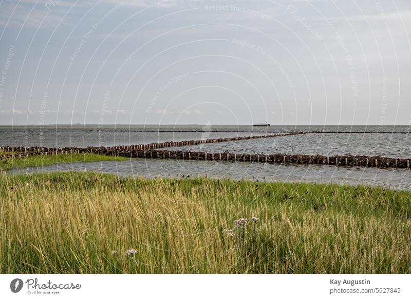 Lahnungen Küstenlinie Schute Schlickrutscher Nordsee Küstenschutz Natur Nordseeküste Naturschutzgebiet Nationalpark Insel Sylt Syltlandschaft Gezeiten