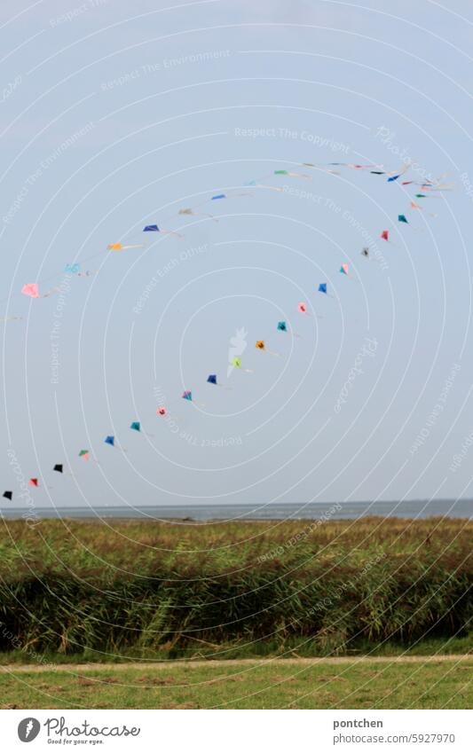 eine bunte girlande weht im wind an der nordsee windig wehen Girlande Dekoration & Verzierung Himmel Feste & Feiern Wimpelkette mehrfarbig geschmückt