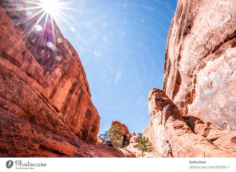 utah Sonnenstern Himmel beeindruckend Felsen Arches National Park Utah Ferne Ferien & Urlaub & Reisen Amerika USA außergewöhnlich Fernweh Abenteuer Landschaft