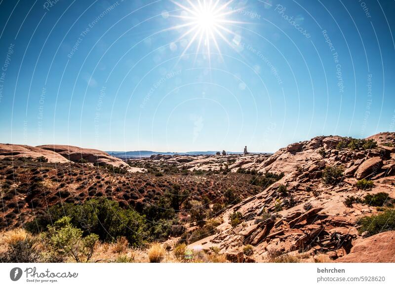 sterngeschichten Sonnenstern Himmel beeindruckend Felsen Arches National Park Utah Ferne Ferien & Urlaub & Reisen Amerika USA außergewöhnlich Fernweh Abenteuer