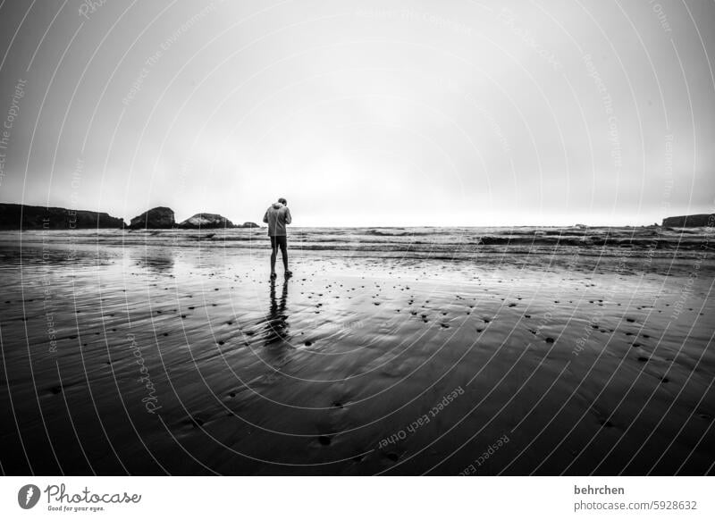 vom suchen und finden stille Schwarzweißfoto Wasser Strand Wellen Meer Küste USA Amerika Kalifornien Ferien & Urlaub & Reisen Ferne Nebel melancholie