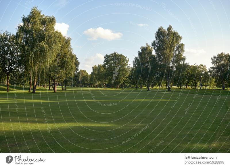 Friedliche Golfplatzlandschaft an einem sonnigen Tag mit üppig grünen Fairways und hohen Bäumen unter einem sonnigen Himmel. Perfekt, um die Ruhe der Natur, Sport im Freien und Entspannung in einer natürlichen Umgebung zu präsentieren.