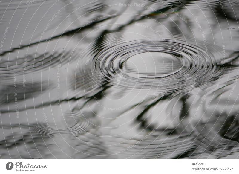 Gekleckere | macht Ringe Wasser Spiegelung im Wasser See ruhig Wasseroberfläche Wasserspiegelung Reflexion & Spiegelung friedlich Natur Idylle Seeufer Ruhe