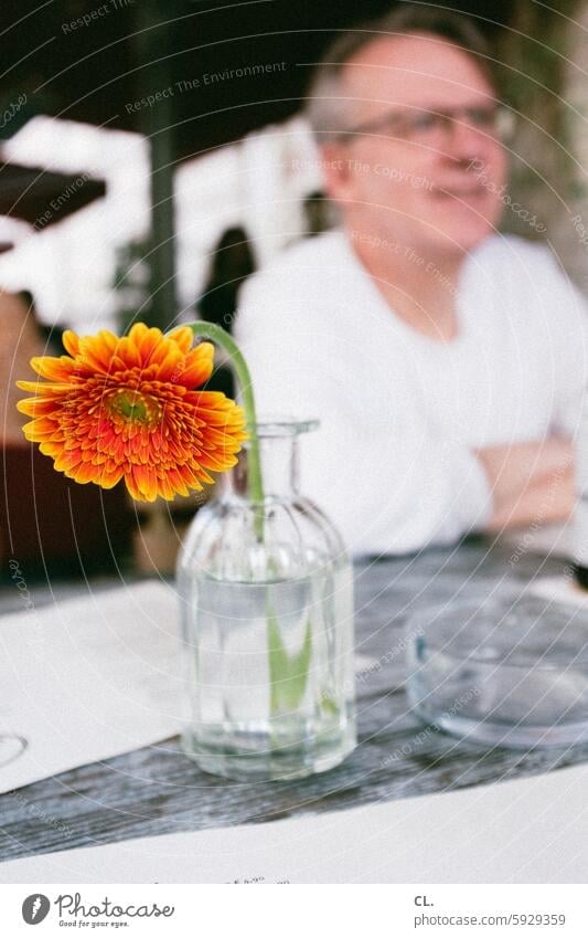 ut / nur schweben ist schöner / herr schnell und die blume Blume Café reden Vase Mann