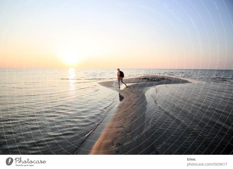 Sandbank Abend Wasser Ostsee Sonnenlicht Reflexion & Spiegelung leuchten nass Sommer Ferien & Urlaub & Reisen Erholung Himmel Sonnenuntergang Strand Küste Frau