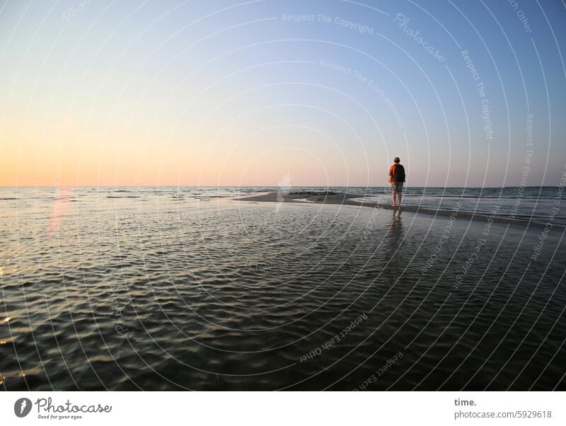 Abend am Meer Himmel Natur Schönes Wetter Atmosphäre Strand Ostsee Wasser Stimmung beobachten warten Küste Landschaft Sommer Sonnenuntergang Horizont