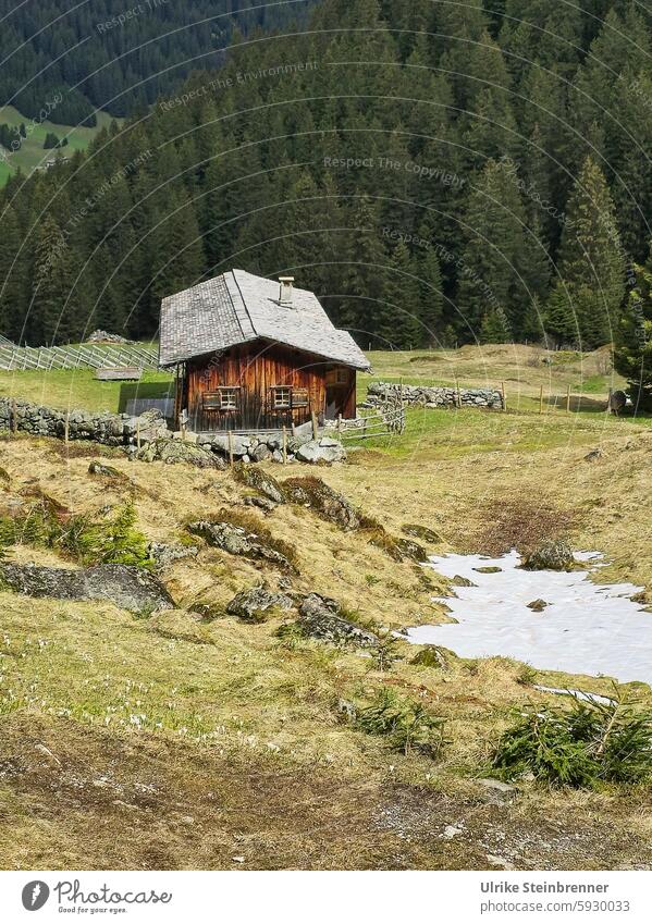 Letzter Schnee auf Alm in Vergalda Schneeschmelze Frühling Gargellen Almhütte Alpen Wald Holzhütte Weide Österreich