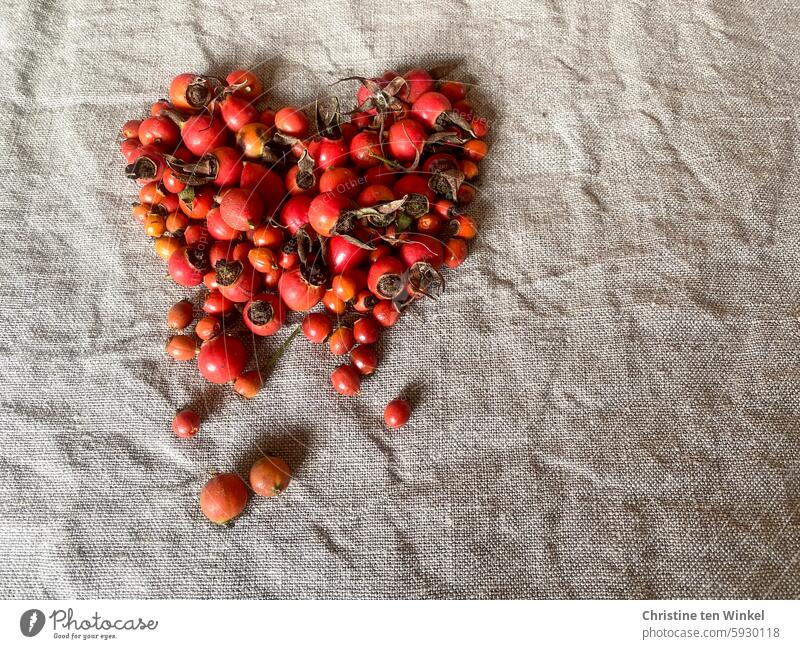 Herzschmerz Hagebutten Früchte Rosenfrüchte vitaminreich Leinen Frucht Vitamin C Herbstfrüchte rot Hagebuttentee naturfarben natürlich frisch Leinentuch