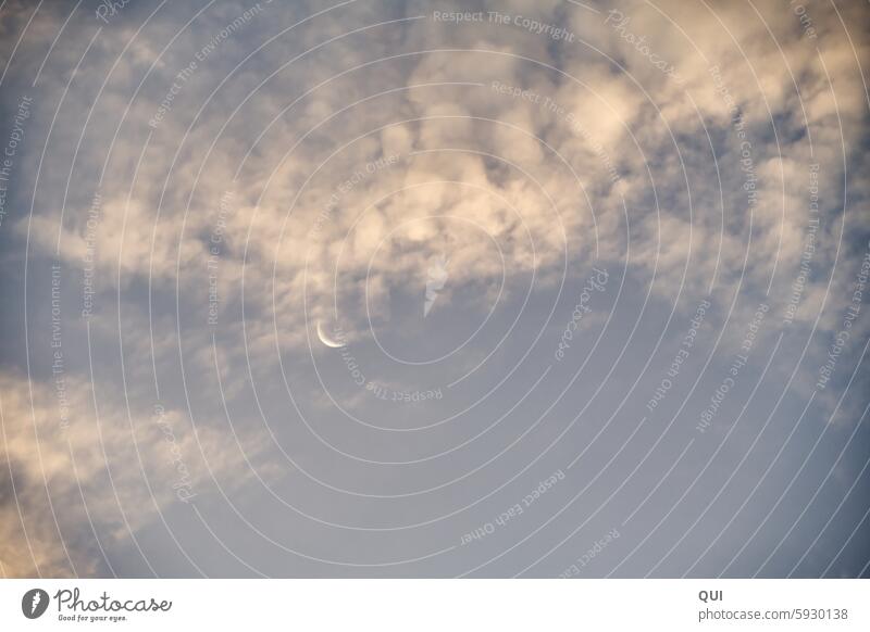 Mondsichel in einem Meer aus Schäfchenwolken Wolken Himmel Wolkenmeer zart pastell schön Abendrot blau weiß gelb traumhaft träumen Natur Abenddämmerung