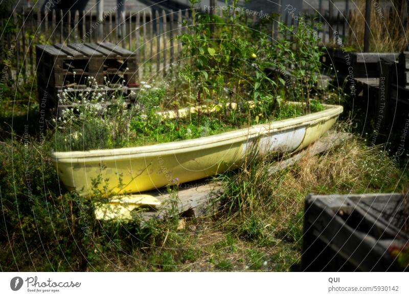 Ein Rettungsboot...für viele kleine und große Pflänzchen Boot gelb Pflanzen an Land Holz Natur Sommer Wasserfahrzeug gestrandet umfunktioniert Zaun Hoffnung Tag