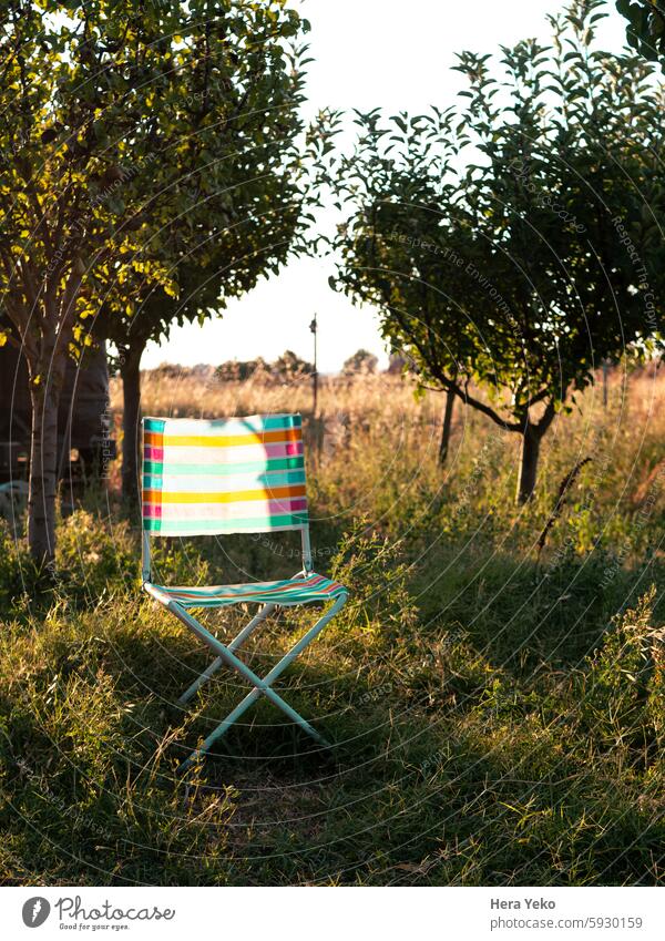 bunter Stuhl in einem Obstgarten Ackerbau Farben Landschaft Öko ökologisch genießen Familie Falten Obstbaum Kunststoff ruhen Sommer Städte Wasser Frucht Natur