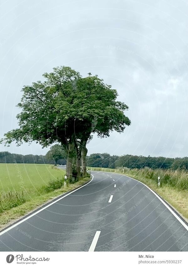 Landstraße leere Straße Fahrbahn unterwegs zweispurig Autofahren Straßenrand außerorts on the road Wege & Pfade Verkehr Verkehrswege Asphalt Straßenbelag