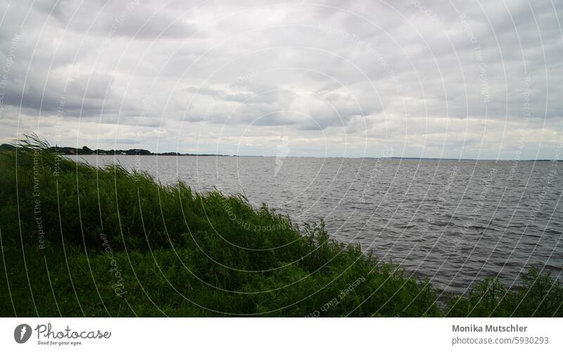 Freiheit Meeresufer Meereslandschaft Wolken Einsamkeit Sommertag Sommerurlaub Ferne Umwelt Sehnsucht Abenteuer ruhig Ausflug natürlich Wellen relaxation Tag