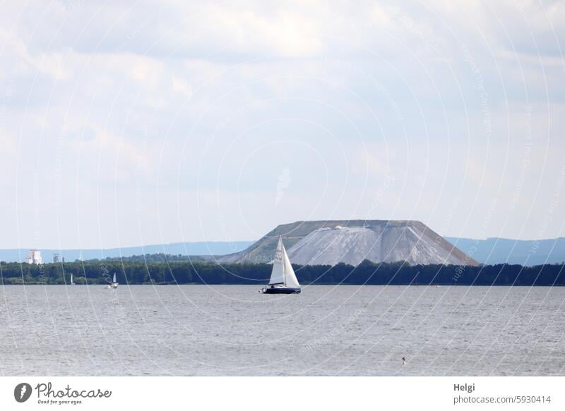 Segelboot auf dem Steinhuder Meer, im Hintergrund der Monte Kali See Wasser Salzberg Landschaft Natur Niedersachsen Außenaufnahme Farbfoto Menschenleer Sommer