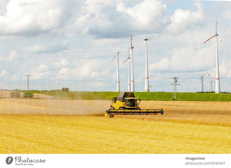 Getreideernte im Sommer. Mähdrescher im Einsatz auf einem Weizenfeld Ernte reif Landwirtschaft Maschine getreideernte Feld Maschinen Gerste Getreidepflanze Mais