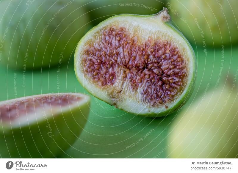 Feigen, grüne Sorte, halbierte Frucht Obst Samen Ftcus Ficus carica Essen Speise