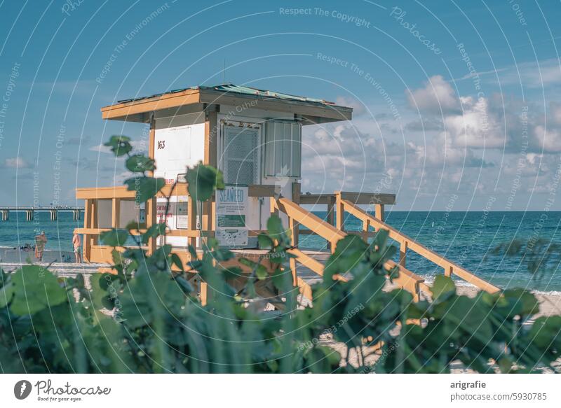 Rettungsschwimmerhaus am Sunny Isles Beach mit Busch im Vordergrund Florida Juli Miami Sonneninseln USA Hütte der Rettungsschwimmer baywatch Strand