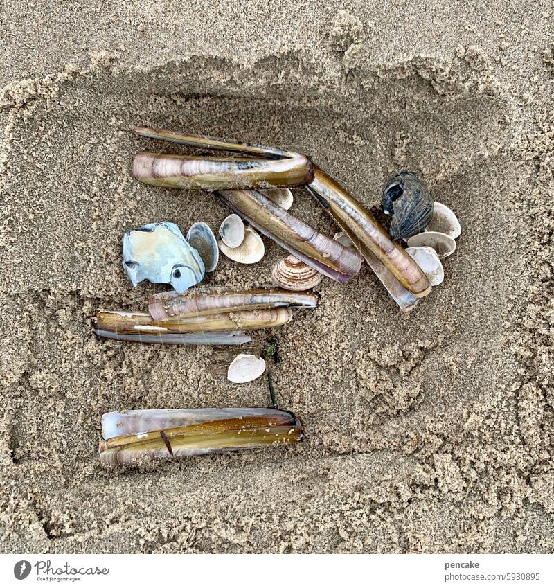 nebensache(n) | muschelsuche Muscheln suchen finden nebenbei Strand Strandspaziergang Meer Sand Küste Ferien & Urlaub & Reisen Erholung Sommerurlaub