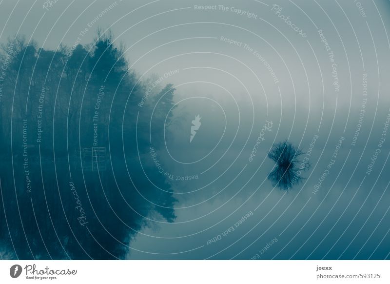 Das langsame Vergessen Natur Landschaft Horizont Herbst Wetter Nebel Wald See ästhetisch kalt blau Romantik ruhig Traurigkeit Tod Idylle Verfall Vergangenheit