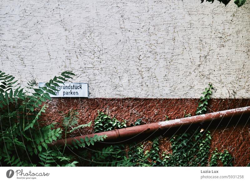 Natur macht sich breit und überwuchert menschliche Anliegen urban Tristesse trist Wand Verbote Zeichen Hinweisschild Schilder & Markierungen parken Parkverbot