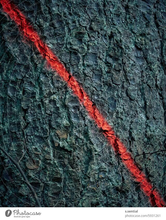 Borke mit Strich Baum rot diagonal