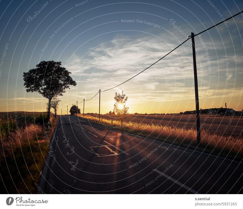 Straße im Sonnenuntergang Gegenlicht goldene Stunde Asphalt