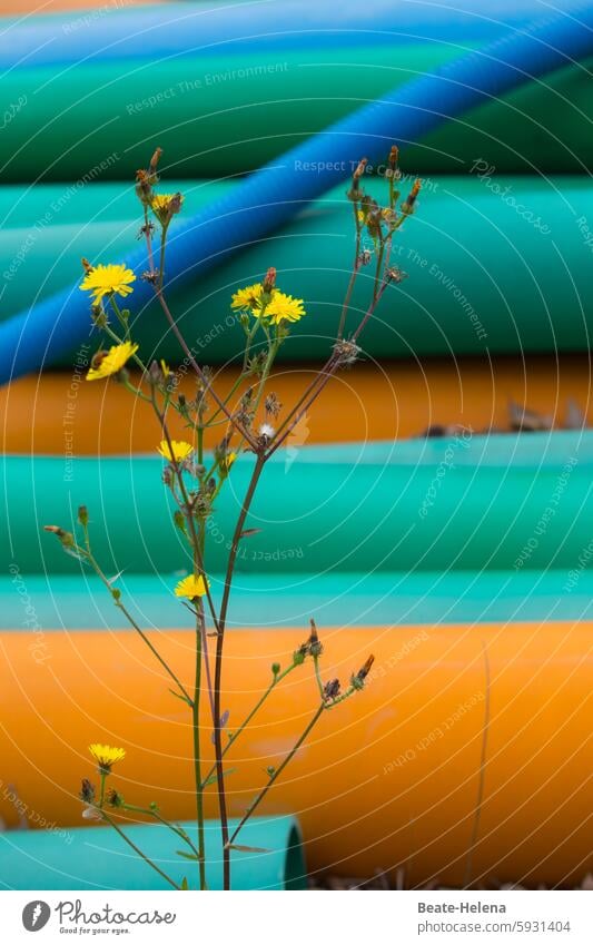 Macht Bunt lustig? Photocase hat viel Freude gebracht! Kabel Blüte Natur blau gelb grün orange Frbe bunt Laune farbenfroh mehrfarbig Kabelsalat Nahaufnahme