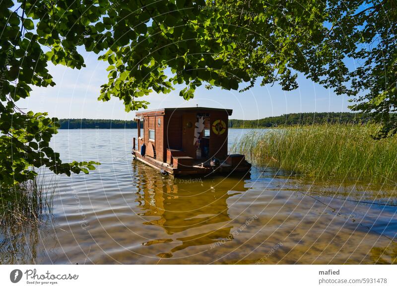 Die Entdeckung der Langsamkeit - Floßurlaub auf der Mecklenburger Seenplatte Sommer Floßtour Wasser Himmel Wald Schilf Wolken Natur Landschaft Seeufer