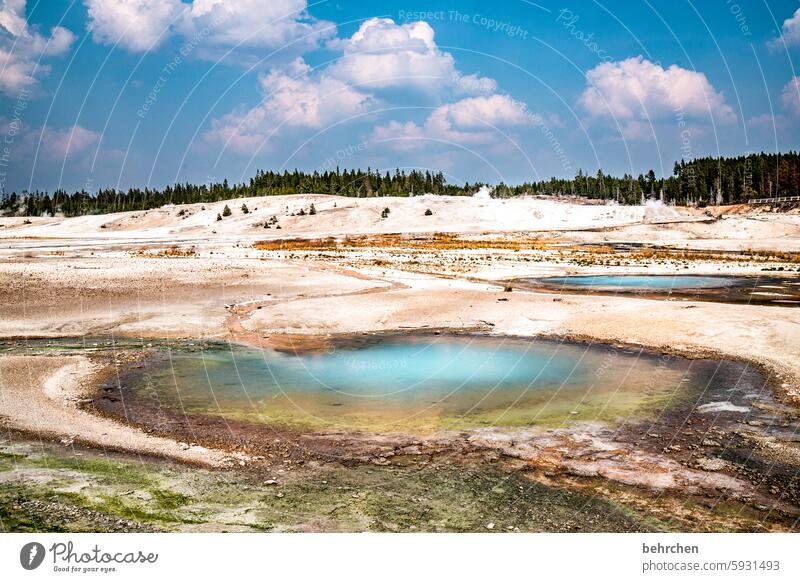 surreal besonders Wasser beeindruckend Fernweh Natur außergewöhnlich fantastisch Ferne Ferien & Urlaub & Reisen Amerika Yellowstone Nationalpark Wyoming USA