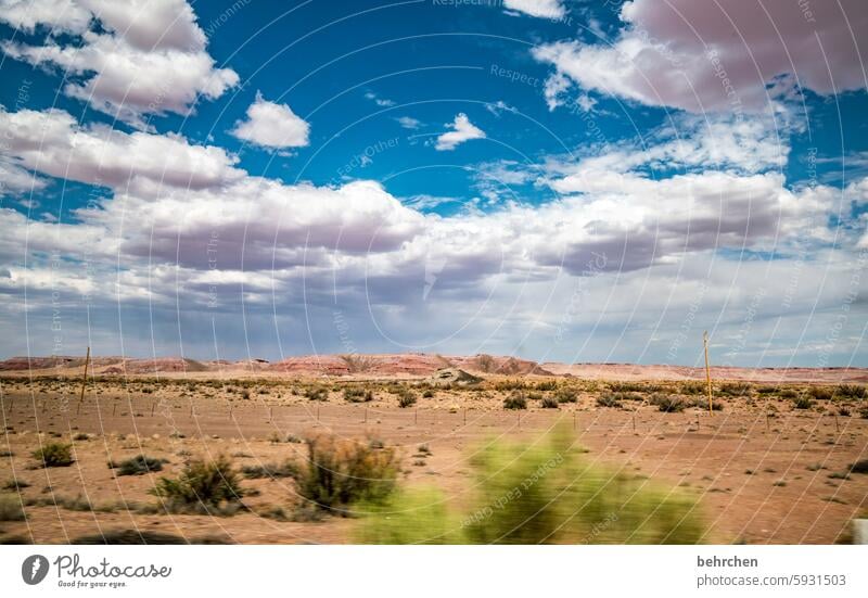 unterwegs Wolken Himmel unterwegs sein Straßenrand Gras Berge u. Gebirge Ferne Freiheit Ferien & Urlaub & Reisen Amerika USA außergewöhnlich Fernweh