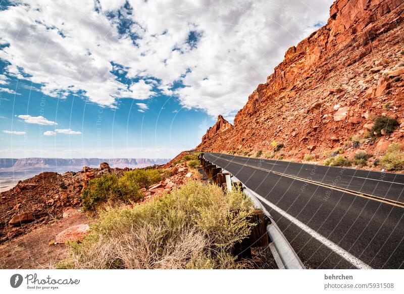 alles, was mit un anfängt | unterwegs Landschaft Abenteuer Endlosigkeit endlos Wege & Pfade Straße Arizona Fernweh träumen außergewöhnlich USA Amerika Freiheit