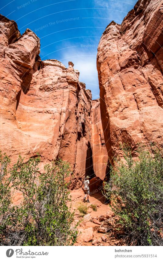 antelope beeindruckend faszinierend canyon fantastisch Arizona Ferien & Urlaub & Reisen außergewöhnlich Ferne Natur Amerika USA Antelope Canyon überwältigend