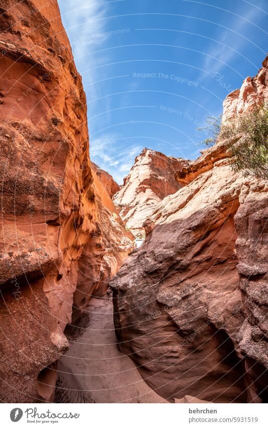 antelope beeindruckend faszinierend canyon fantastisch Arizona Ferien & Urlaub & Reisen außergewöhnlich Ferne Natur Amerika USA Antelope Canyon überwältigend