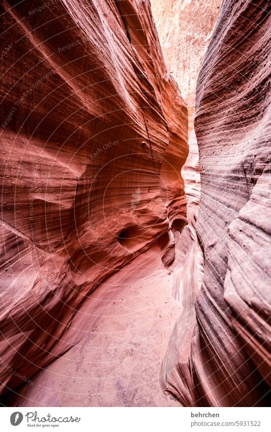 wellen beeindruckend faszinierend canyon fantastisch Arizona Ferien & Urlaub & Reisen außergewöhnlich Ferne Natur Amerika USA Antelope Canyon überwältigend