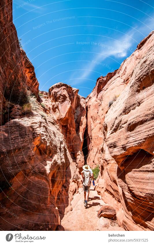 antelope beeindruckend faszinierend canyon fantastisch Arizona Ferien & Urlaub & Reisen außergewöhnlich Ferne Natur Amerika USA Antelope Canyon überwältigend