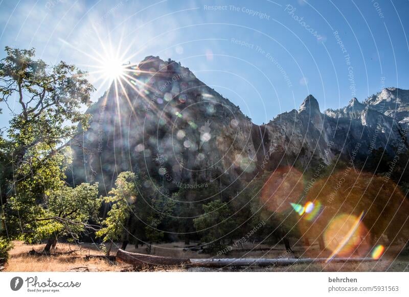 sterngeschichten lens flare Sonnenflecken Reflexion Bäume USA Amerika Kalifornien Yosemite NP Landschaft reisen yosemite Berge u. Gebirge Sonnenlicht