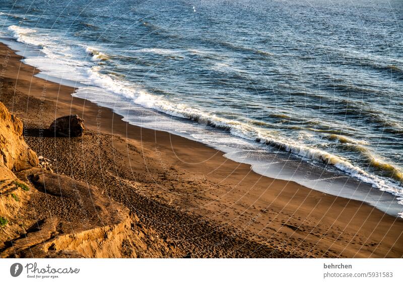 strand und meer Strand Landschaft Wellen Wasser fantastisch Meer Küste USA Amerika Ferien & Urlaub & Reisen Ferne Freiheit Kalifornien San Francisco