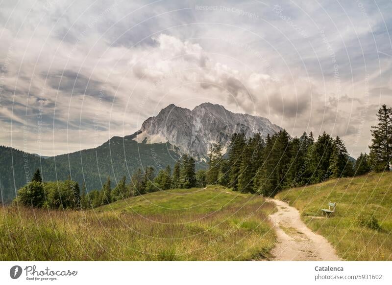 Der Weg zum Wetterstein Natur Berge u. Gebirge Gipfel Tageslicht Umwelt Ferien & Urlaub & Reisen Bäume Landschaft Tourismus wandern Weite Sommer Tannenwald