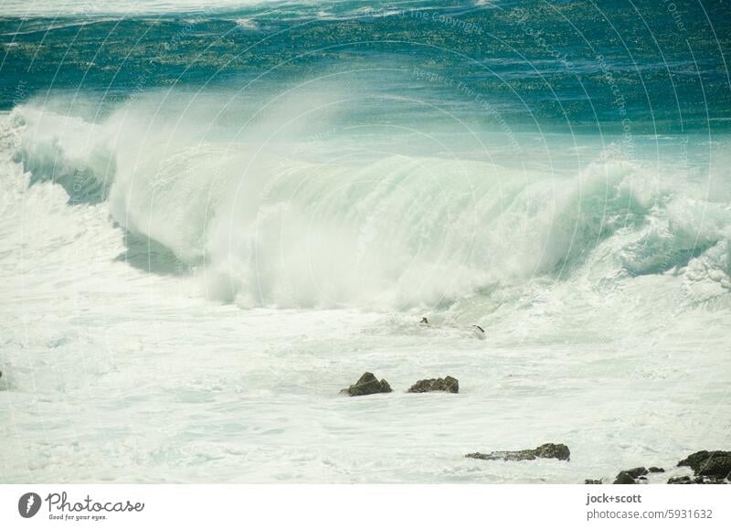 letzte große Welle Wellen Australien Meer Natur Pazifik Brandung Wellenbruch Wellenform Kraft Urelemente Naturgewalt