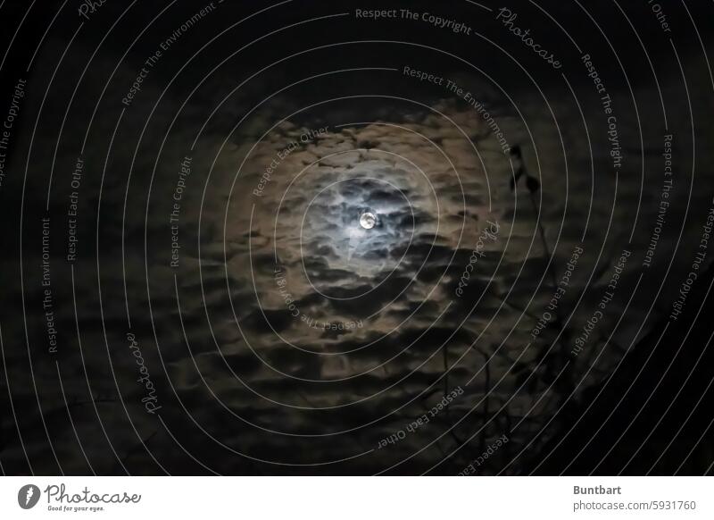 Wenn der Mond die Wolken berührt Nacht Vollmond Mondschein Nachthimmel Himmel dunkel Natur Stimmung Licht Silhouette Mondaufgang ruhig geheimnisvoll leuchten