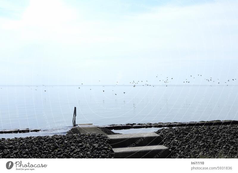 Hallig Gröde | Naturbadestelle bei Hochwasser Sommer Nordsee Meer Watt Wattenmeer See ruhig stille See windstill glatte See Küstenschutz Steinwall Steine