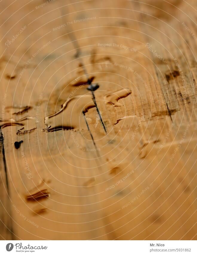 UT I Nur schweben ist schöner I feuchte nässe Wassertropfen nass Nässe Wasserfleck Tropfen Oberfläche Regenschauer schlechtes Wetter Holztisch Regentropfen