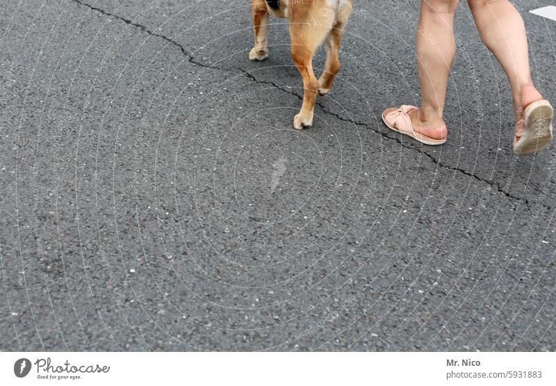 UT I Nur schweben ist schöner I wadenbeißer zweibeiner Beine Fuß Gassi gehen Hund Hunderunde Gassigehen Gassirunde Tierliebe Spaziergang Haustier